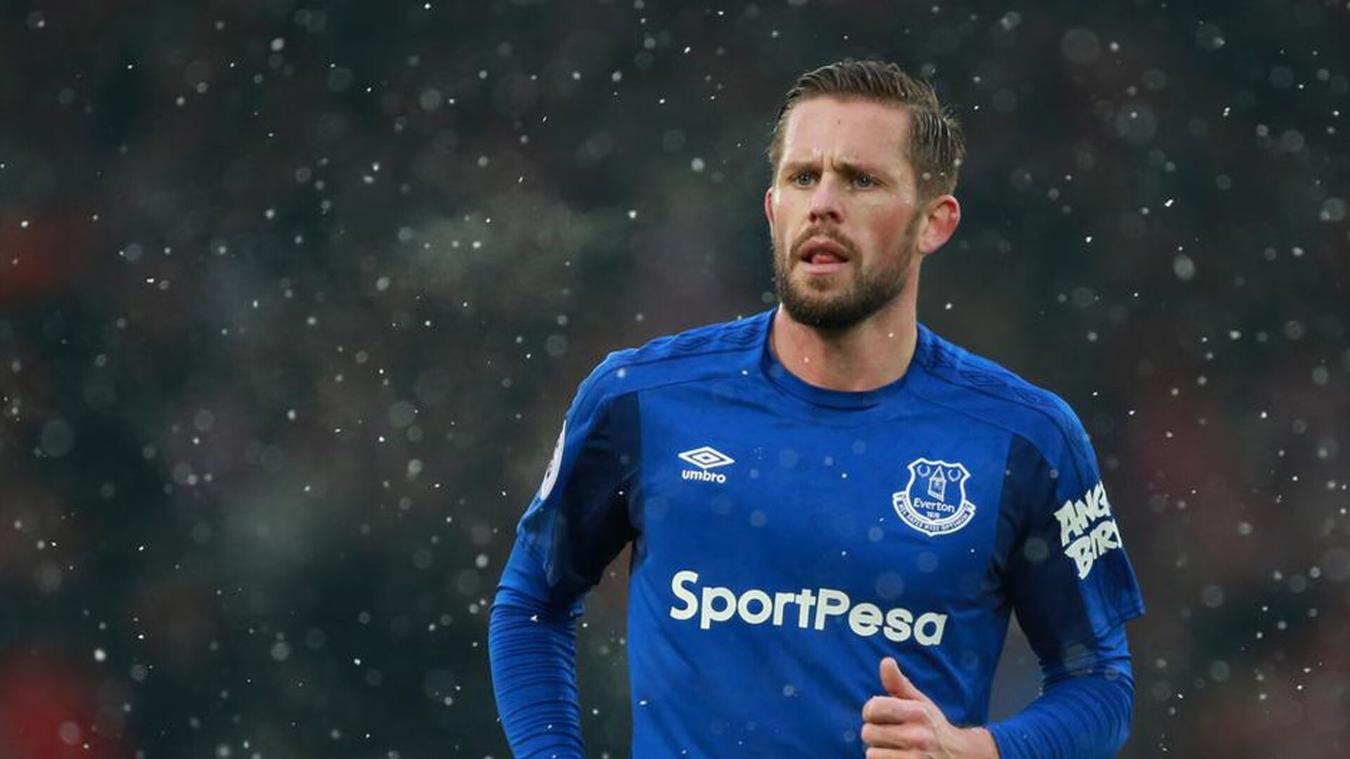 伊朗国家队备战世界杯，伊朗国家队世预赛名单